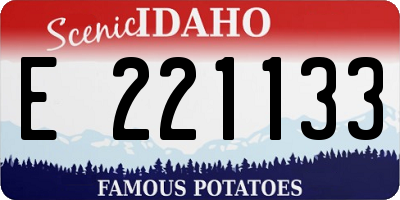 ID license plate E221133