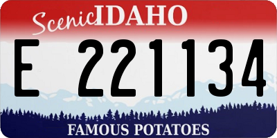 ID license plate E221134