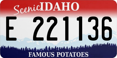 ID license plate E221136