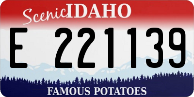 ID license plate E221139
