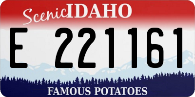 ID license plate E221161