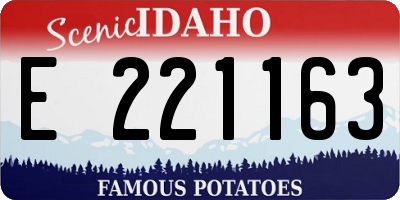 ID license plate E221163