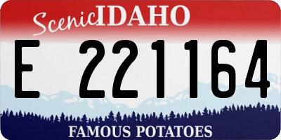 ID license plate E221164