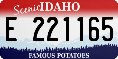 ID license plate E221165