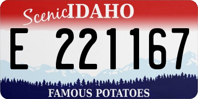 ID license plate E221167