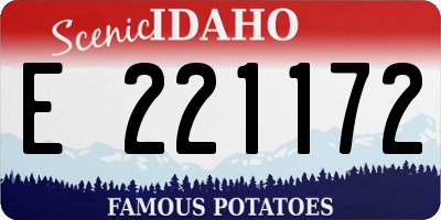 ID license plate E221172