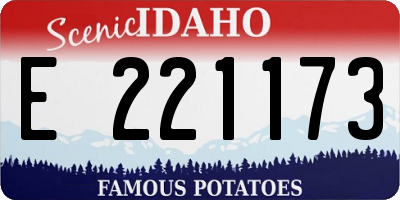 ID license plate E221173