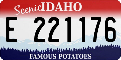 ID license plate E221176