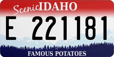 ID license plate E221181