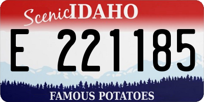 ID license plate E221185