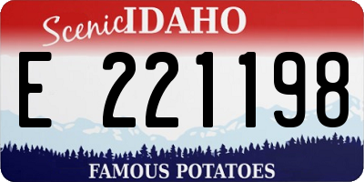 ID license plate E221198