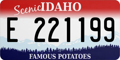 ID license plate E221199