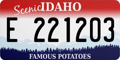 ID license plate E221203
