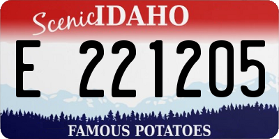 ID license plate E221205