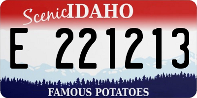 ID license plate E221213