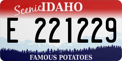 ID license plate E221229