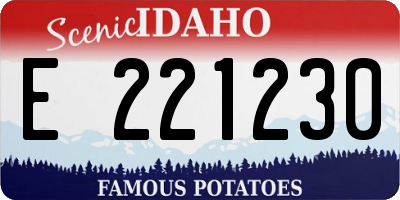 ID license plate E221230