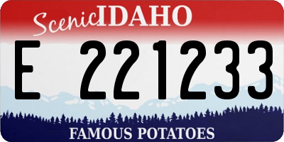 ID license plate E221233