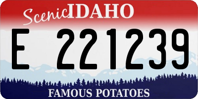 ID license plate E221239