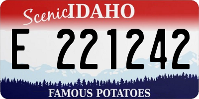 ID license plate E221242