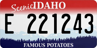 ID license plate E221243