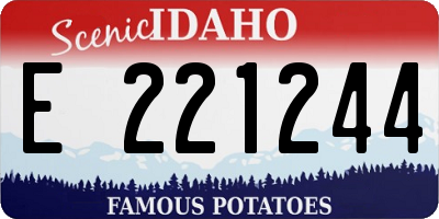 ID license plate E221244