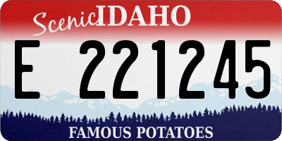 ID license plate E221245