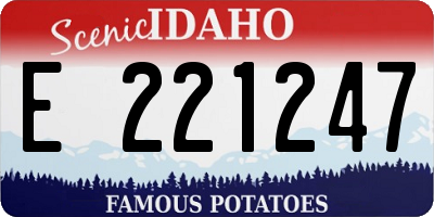 ID license plate E221247
