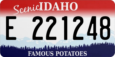 ID license plate E221248