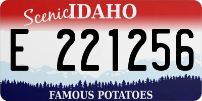 ID license plate E221256