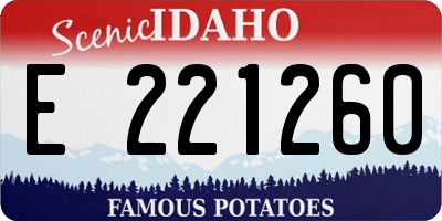 ID license plate E221260