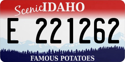 ID license plate E221262
