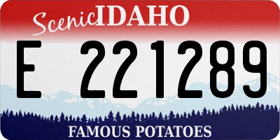 ID license plate E221289
