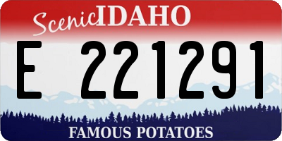ID license plate E221291