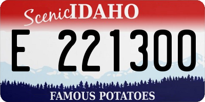ID license plate E221300