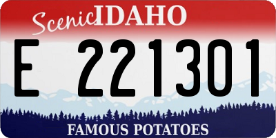 ID license plate E221301