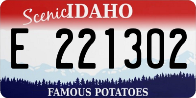 ID license plate E221302