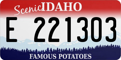ID license plate E221303