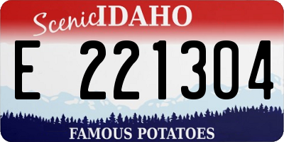 ID license plate E221304