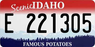 ID license plate E221305