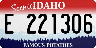 ID license plate E221306