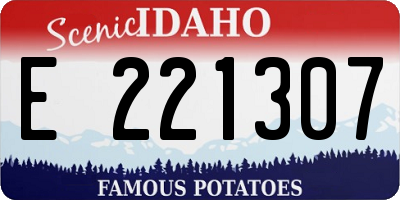 ID license plate E221307