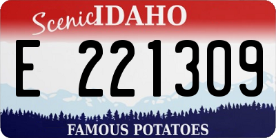 ID license plate E221309