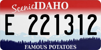 ID license plate E221312