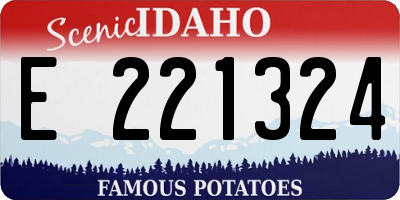 ID license plate E221324