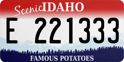 ID license plate E221333