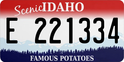 ID license plate E221334