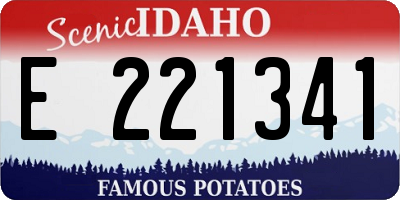 ID license plate E221341
