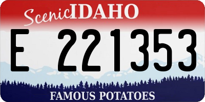 ID license plate E221353