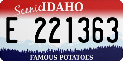 ID license plate E221363